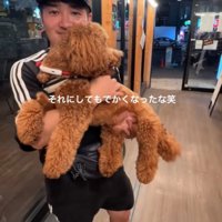 大きくなったノアくん