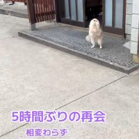 「おかえりなさい！」