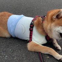 色々なカラーにトライ♪