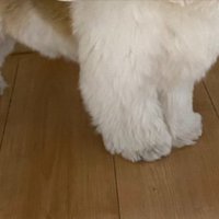 初めて