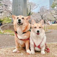 思わず笑ってしまった