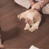今でも大切な思い出