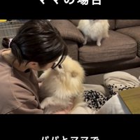 女性にキスされている犬