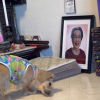 頭を床に押しつけるような動きをする犬