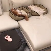 そっと見守りたくなる一幕