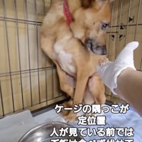 恐怖心が滲み出ています