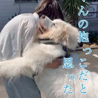 「なんか違う」