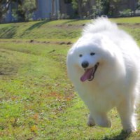 ニコニコ