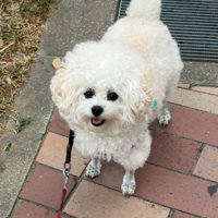 うめちゃんの笑顔♪