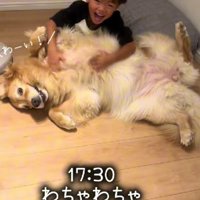きなこちゃんとの再会