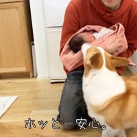 優しくご挨拶中♡