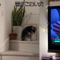 雷が鳴った日…