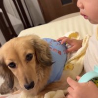 現在のサニーちゃんと赤ちゃん