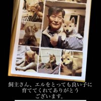 犬と人の思い出の写真