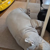 カバのぬいぐるみ