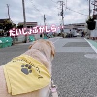 じっと見守ります