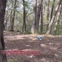 走りながらキョロキョロ