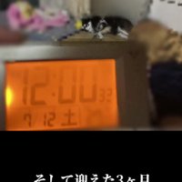 3ヶ月後、正式な家族に！！