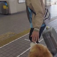 「そろそろ行くね」