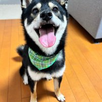 幸せそうな笑顔にホッコリ♡