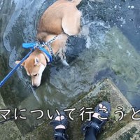 一瞬びっくり！