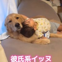 こむぎくんと息子さん