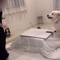 終わらない攻防戦