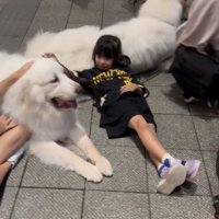 広がる幸せ空間