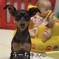 うにちゃん「そうなんですね」