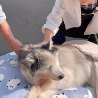 首をぐっと持ち上げた！！