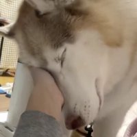 健気な姿にキュン