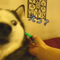 「えっ、まさか薬！？」