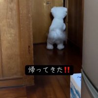 RAUくんの熱烈大歓迎2