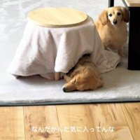 うらやましがるセナちゃん