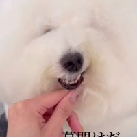 雰囲気もどんどん変化