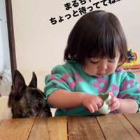 「ちょっと待ってね」
