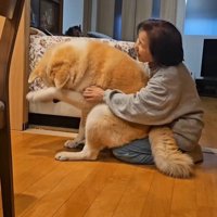 寒い日の朝の駄偉助くん4