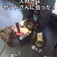 嬉しそうなヴィヴィちゃん