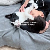 数ヶ月後のルークくんと旦那さん2