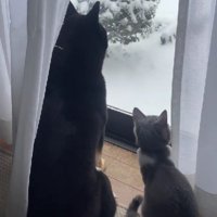 本当の姉妹のよう