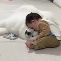 優しい対応に感動…