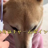 とってもかわいい美容ごっこでした