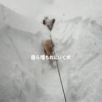 埋もれながら前進！