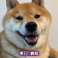 「今日は病院行くよ」