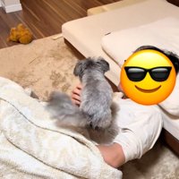 毛布の中から登場したパパとピーターくん