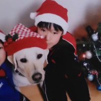 サンタ帽子を被って記念撮影をする犬と2人の男の子