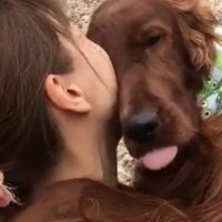 甘える犬