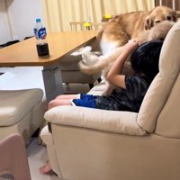 体当たりされるお孫さん