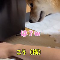 説明するママ2