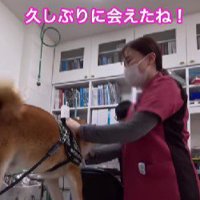 動物病院の看護師さんと再会すると…